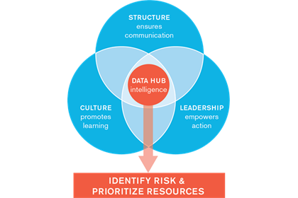 Risk Assessment Lotus